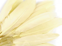 Kachní peří 9 - 14 cm - krémová světlá